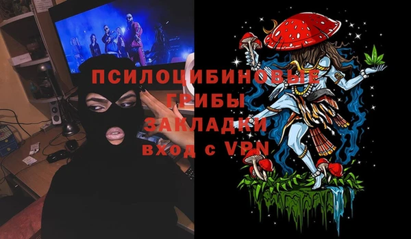 герыч Арсеньев