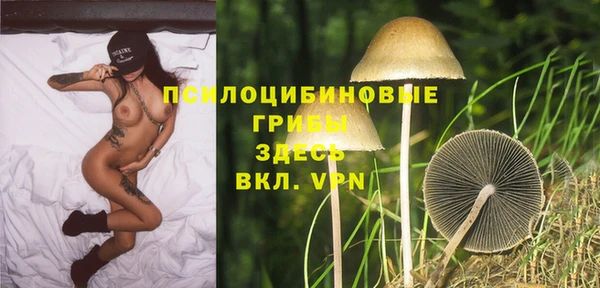 a pvp Аркадак